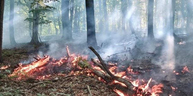 Nagy tűz van a szlovák-magyar határnál
