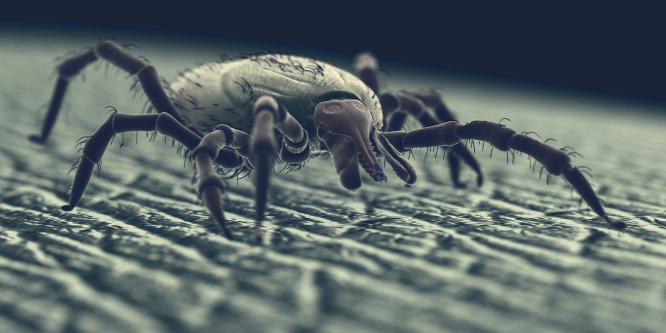 Kutatók azonosítottak egy fehérjét, amely véd a Lyme-kórtól