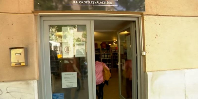 Gurmai Zita menekülés közben megszegte a kijárási korlátozást - videó