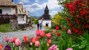 Forrás: Shutterstock/berni0004