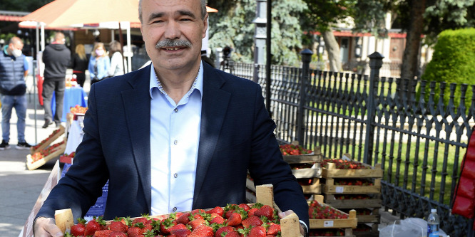 Nagyon jó hazai epertermés várható az idén