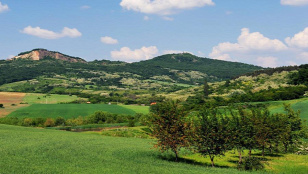 Forrás: Pénzes Géza