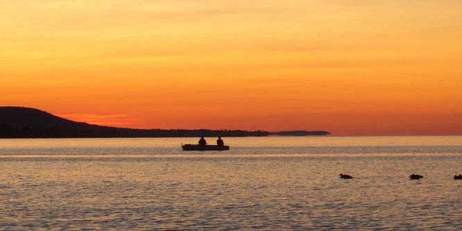 Feltárul a Balaton élővilága a tihanyi Limnológiai Intézetben