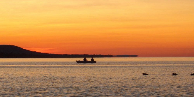 Feltárul a Balaton élvilága a tihanyi Limnológiai Intézetben