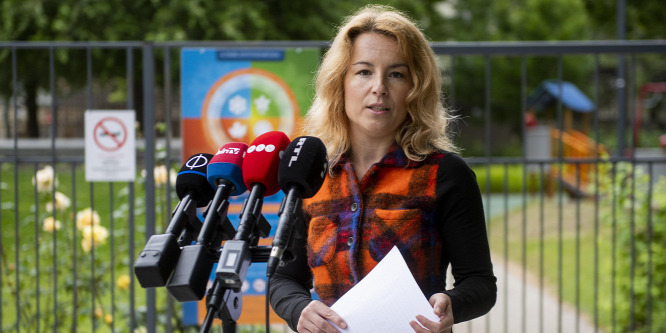 Veszélyes mennyiségű higanyt tartalmazó elemeket találtak az ellenőrök