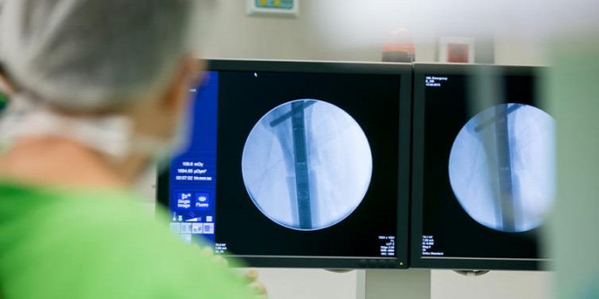Népbetegségektől a koronavírusig az online Semmelweis Egészség Napokon