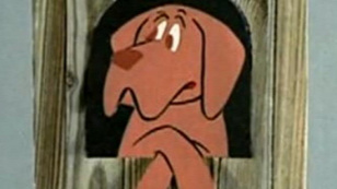 MTV