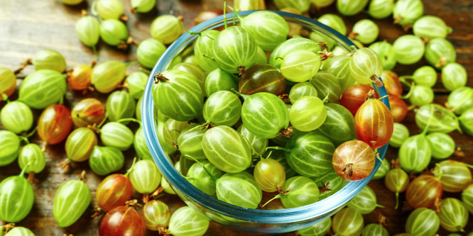 Finom hideg piszkeleves tele vitaminokkal