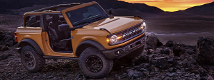 Forrás: Ford