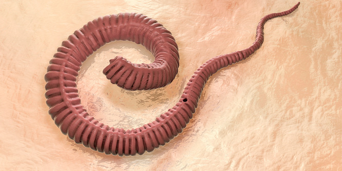 Gyomorforgató: 4 centis féreg bújt a nő mandulájába