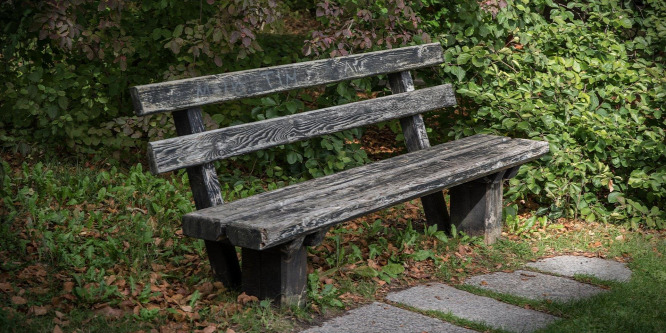 Parkban pofozkodott egy férfi Kaposváron