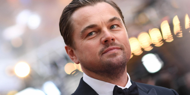 Leonardo DiCaprio a jeges tóba vetette magát, hogy megmentse imádott kutyái életét - videó