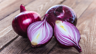 Forrás: Shutterstock