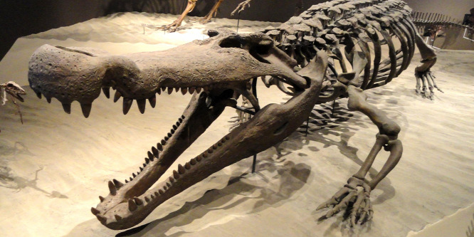 Ez a krokodil könnyedén kettéharapott egy dinoszauruszt