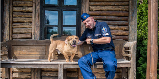 Kutyáknak, macskáknak segítenek gazdát találni a rendőrök – videó