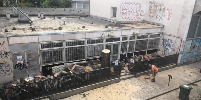 Terézváros után Erzsébetvárosban is fákat vágatott ki a baloldali városvezetés