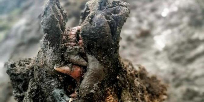 Rémisztő lény jégbe fagyott tetemét azonosították Szibériában