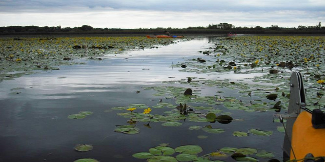Ezek a felejthetetlen élmények várják a Tisza-tónál ősszel