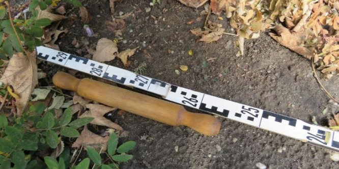 Sodrófával támadt egy mozgássérült férfira egy nő Vácott