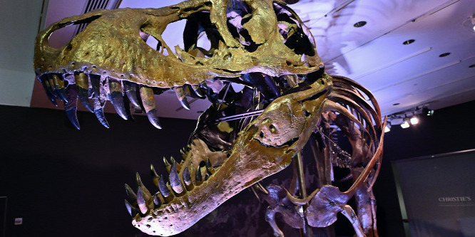 Rekordáron kelt el egy T-rex csontváza