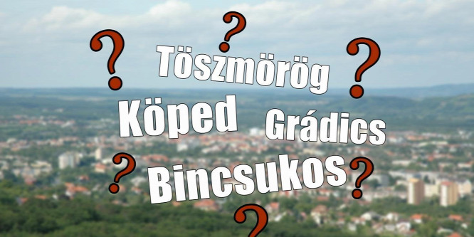 Teszteld magad! Hány szót ismersz a zalai-magyar szótárból? – I. rész