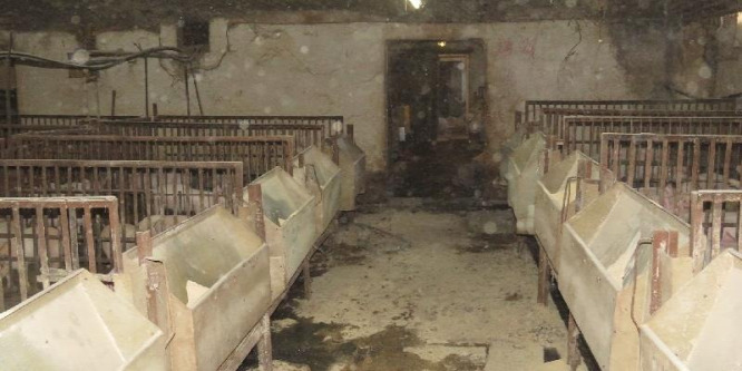 Malacokat és bárányokat lopott egy banda Kaposvár környékén