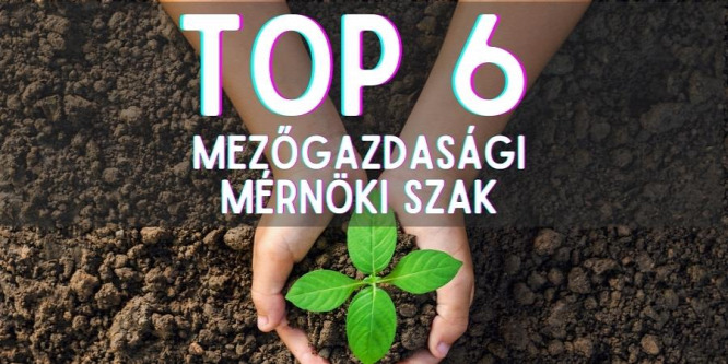 TOP 6: Melyik mezgazdasági mérnök diplomával lehet a legjobban keresni?