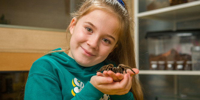 Íme, a 8 éves természetvédő, aki 50 tarantula gazdája