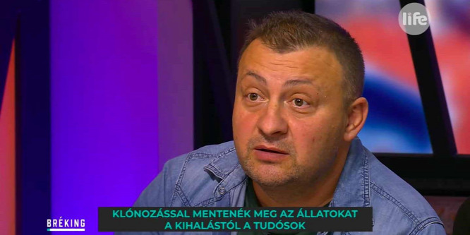 Gáspár Zsolti megmutatta, melyik szexpózban a legkönnyebb teherbe esni