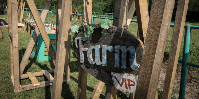 A Farm VIP versenyzője tehénfejés közben szenvedett balesetet - Videó