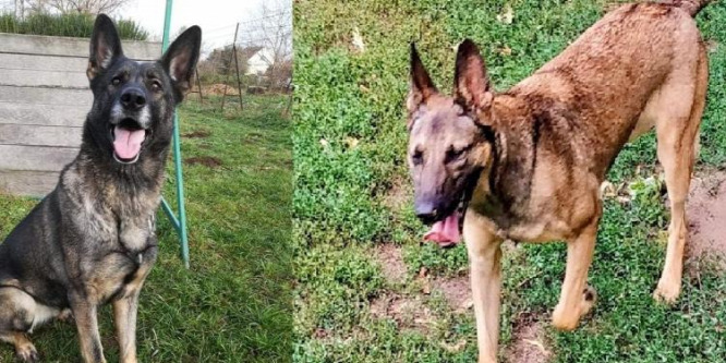 Két év után kaptak el egy férfit, aki egymilliót lopott egy nyírbátori dohányboltból