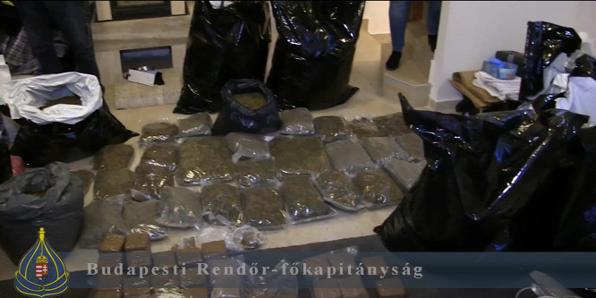 140 kiló kábítószert találtak egy solymári házban a rendőrök - videó