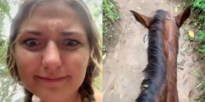 Az amerikai lány egy ittas éjszaka után egy mexikói dzsungelben lovagolt - Videó
