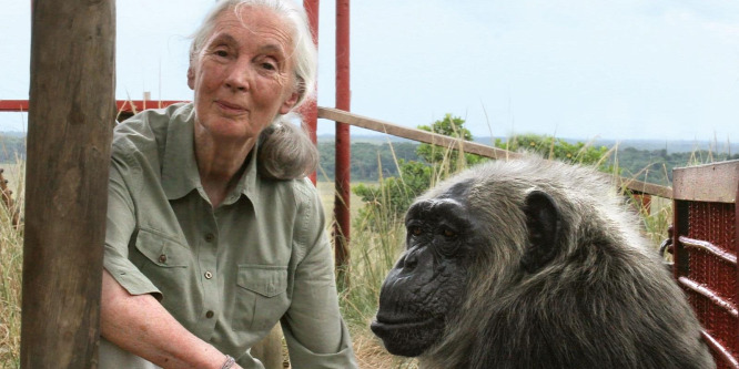 Jane Goodall megkapta a világ egyik legnagyobb pénzjutalommal járó elismerését