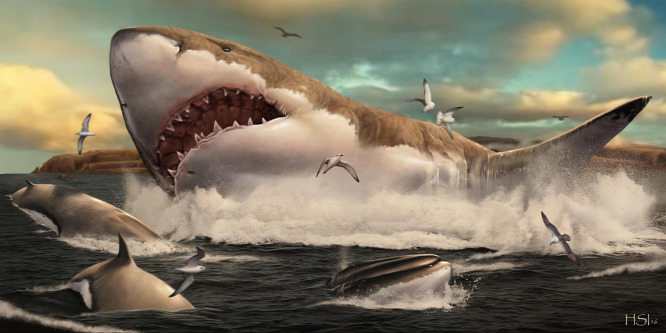 A megalodon őscápa még hatalmasabb lehetett, mint gondoltuk