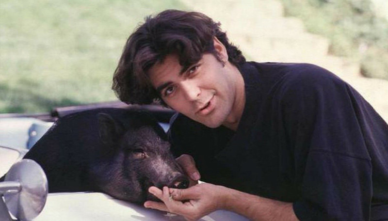 George Clooney egy igazi hollywoodi ikon, sármos, sikeres, épp ezért nem meglepő, hogy a most 59 éves színész egészen 2014-ig nem állapodott meg