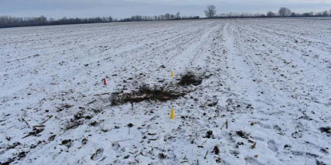 Őzet lőttek az orvvadászok Rábatamásinál, elfogták őket