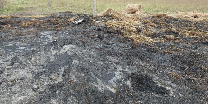 Gyújtogatót fogtak a rendőrök Pest megyében - videó