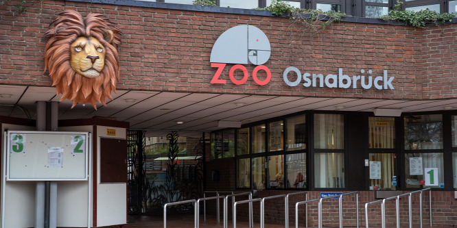 Rátámadt a gondozónőjére egy oroszlán egy német állatkertben
