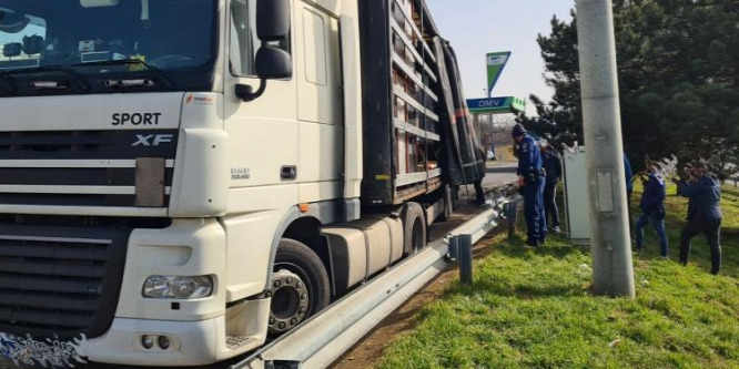 Ismét több száz migránst, és három embercsempészt is feltartóztattak Magyarországon