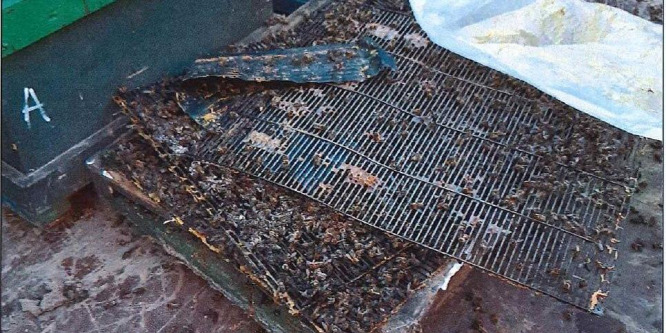 Méhkaptárokat lopott egy férfi Kocson
