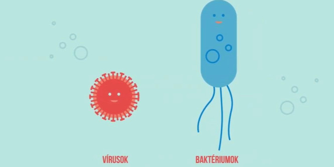 Mi a különbség a vírusok és a baktériumok között? - videó