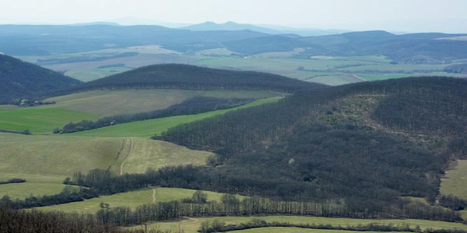 Felmentünk a kilátóhoz, ahonnan a Börzsöny, a Mátra és az Alföld is látható