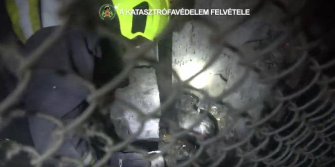 Liftaknába esett macskán segítettek a tűzoltók