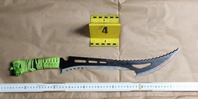 Könyörgött az anyjának, ne nyisson ajtót a kőbányai machetés gyilkosnak