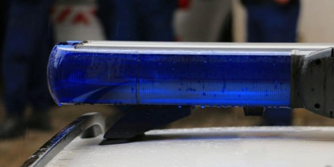Agyon kellett lőni egy megvadult kutyát Keszthelyen
