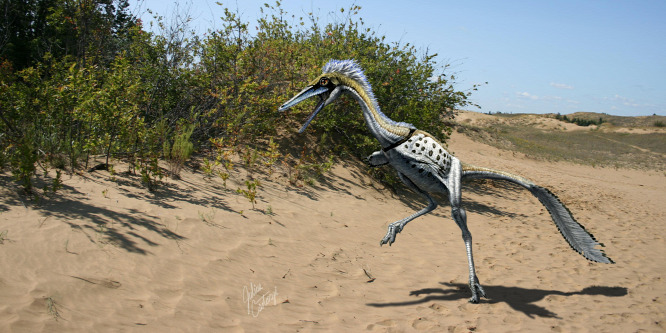 Különleges, éjszaka vadászó, madárszerű dinoszauruszt fedeztek fel