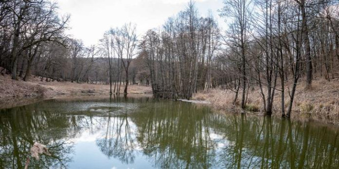 Új erdőrezervátum a Pilisi Parkerdőben