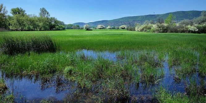 A fővárosi baloldal luxuslakóparkot építene egy természetvédelmi területre