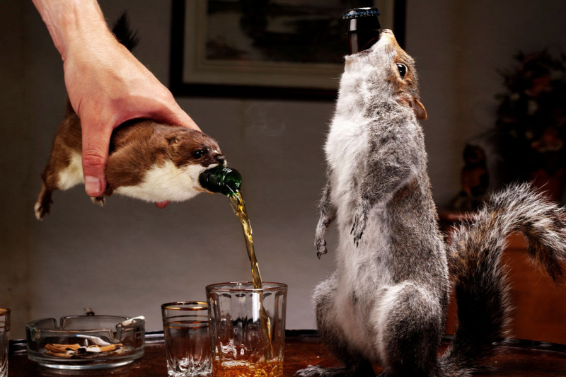 BrewDog’s The End Of History